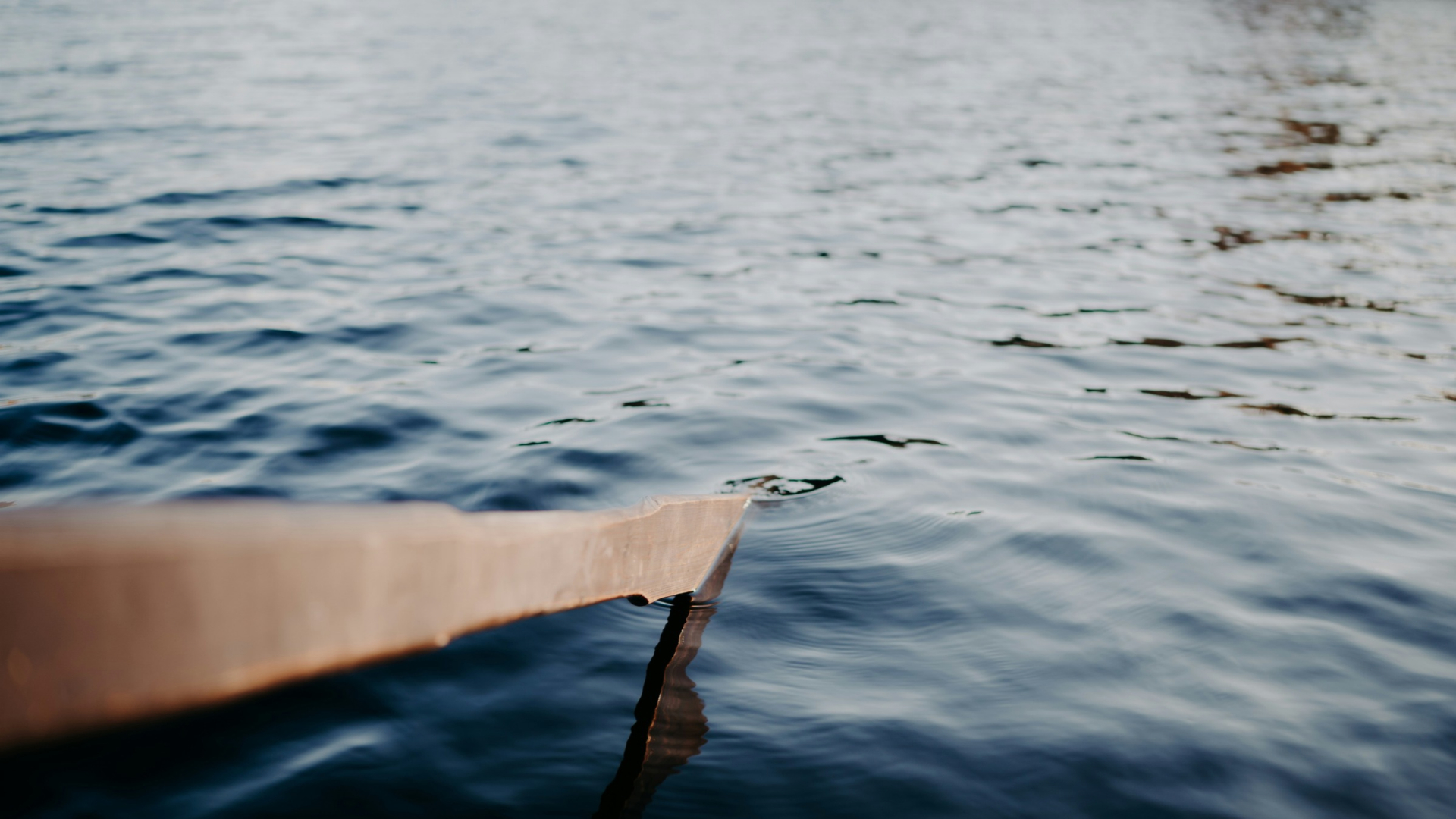 Ein Paddel im Wasser