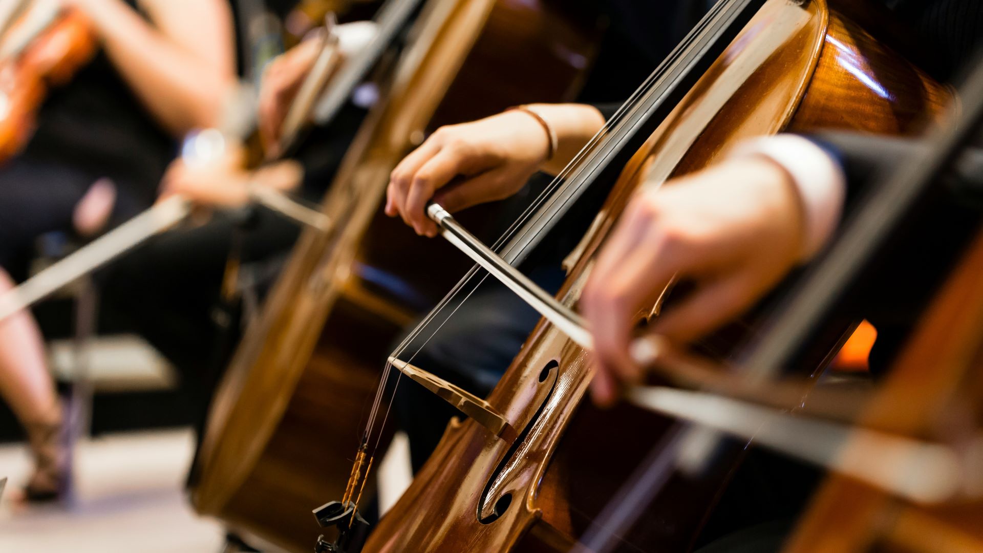 Orchester Nahaufnahme