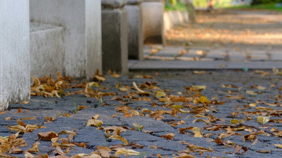 Laub auf Gehweg