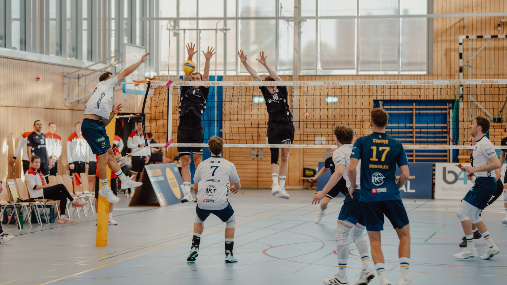 Die Donau Volleys im Match gegen Dresden