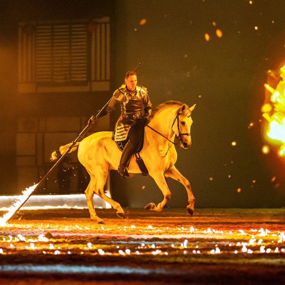 2024_02_17_Cavalluna