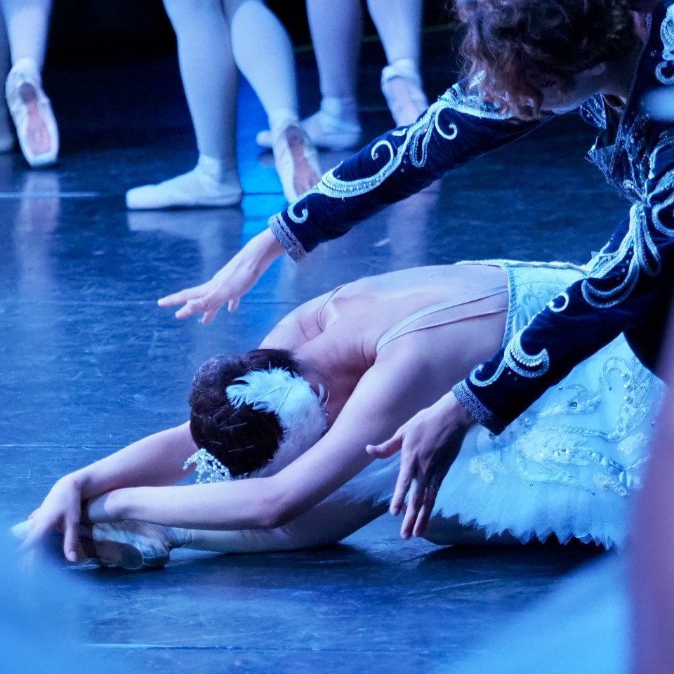 2024_02_19_Schwanensee