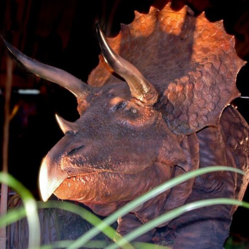 2024_03_29_JurassicParkAmDultplatz